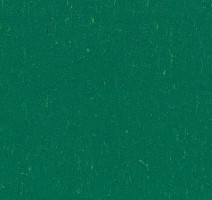 Линолеум Forbo Marmoleum Decibel on Order 364935 greenwood фото 1 | FLOORDEALER